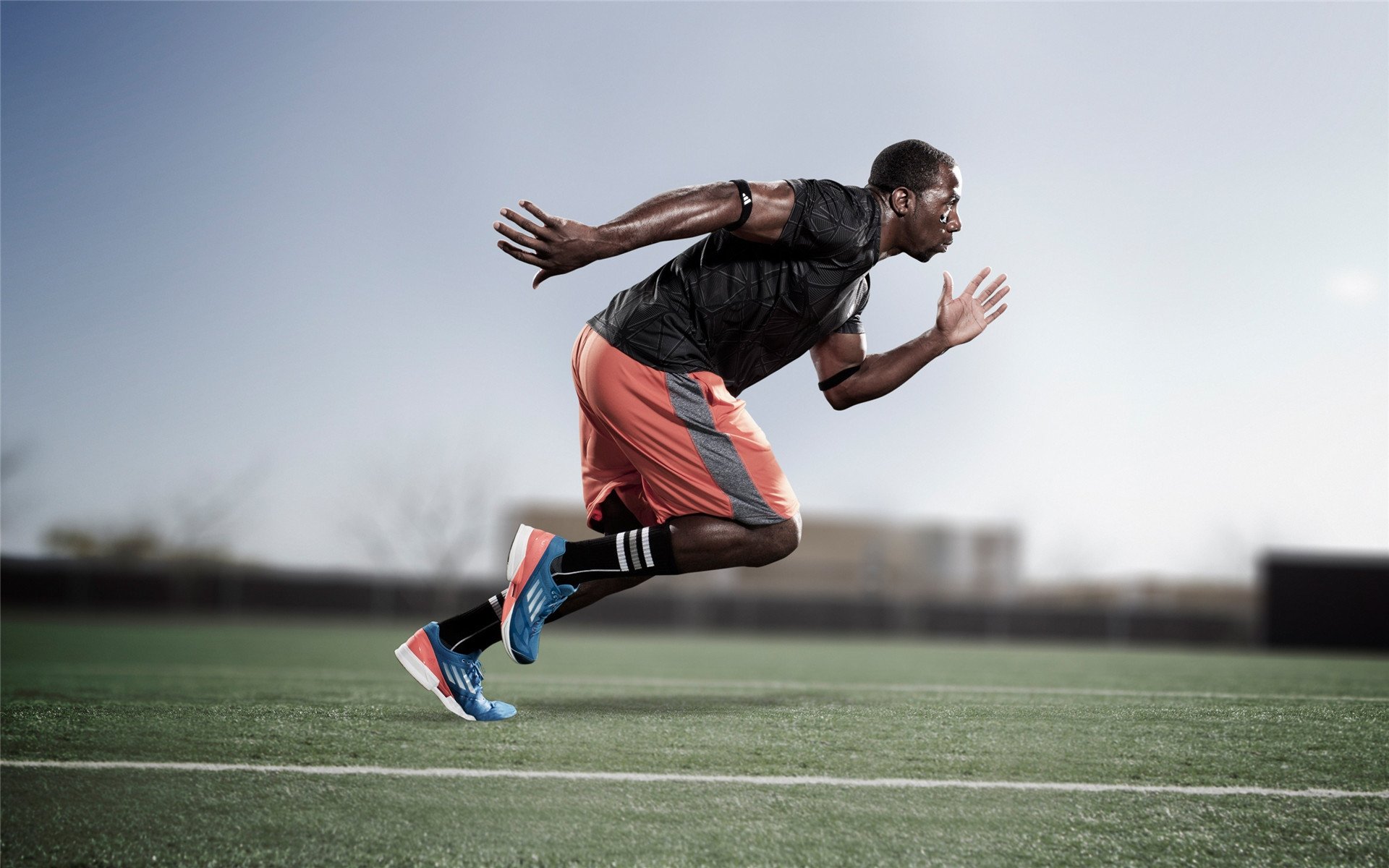 格林纳达棒球运动快速发展，格林纳达棒球运动快速发展的标志是